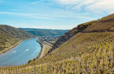 Winelicious - Arrive & Enjoy - Foto 5