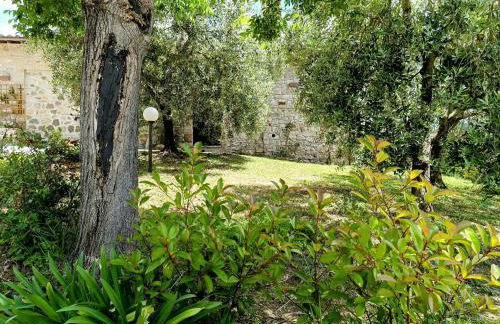 La Bottega di Torreluca - Foto 13