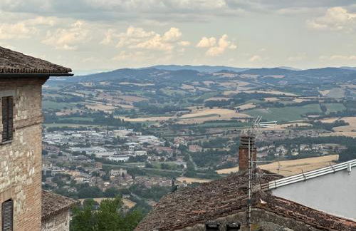 Nido di Gufi - Foto 19