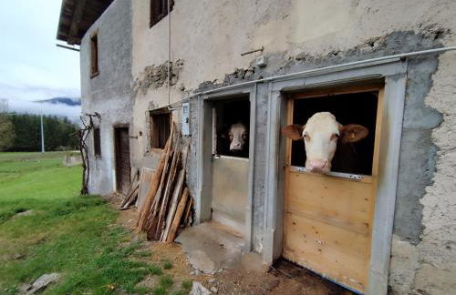 Villa Salagona - Photo 10