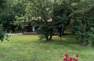 Domaine D'Erras - la bergeronnette - Foto 7