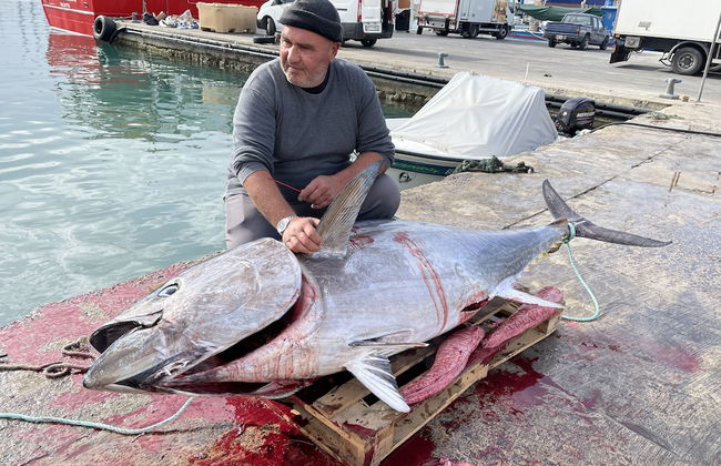 Sunset Modern Apt - Near Beach, Wifi & Cable TV - Foto 15