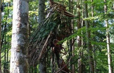 Chalet des fontaines claires - Foto 33