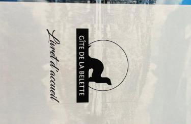 Gîte de la Belette_Montagne de La Bresse - Foto 21