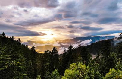 La Cabane de Marie - Foto 24