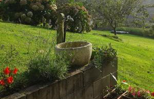 La casa de atrás - Foto 45