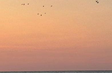 Apartamenty nad morzem Przy Klifie 2 Dębina - Foto 54