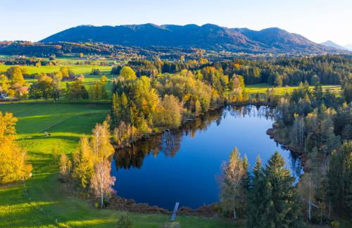 Ferienhaus BirkenOASE - Sauna- Terrasse-drei Schlafzimmer - Foto 45