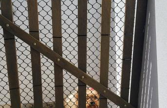 Apartamento Ambar - Foto 43