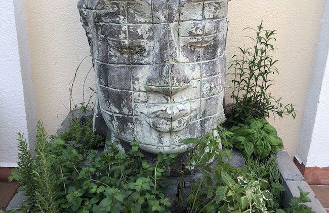 Villa Boutique Banus - Foto 69