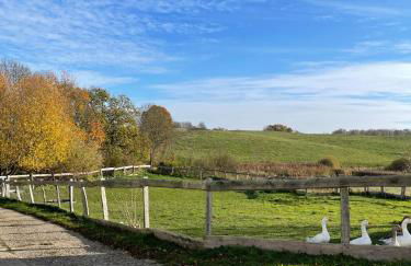 Neu möbliertes 1 - Zimmerapartment mitten in der Natur - Foto 11