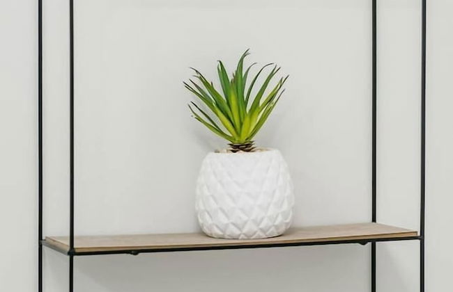 Cool and Comfortable 2 Bedroom Den - Foto 7