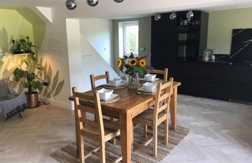 Little Chi - Photo 11