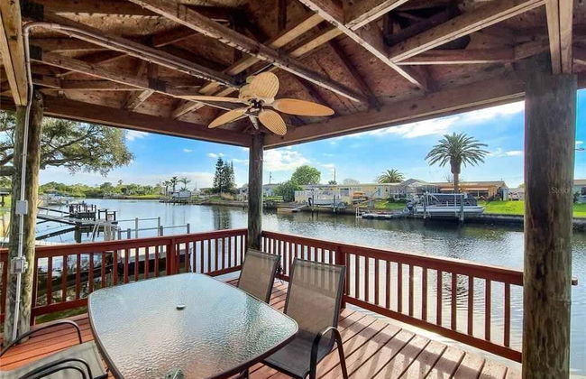 Enjoy Sunset with Dolphin and Manatee - Photo 1