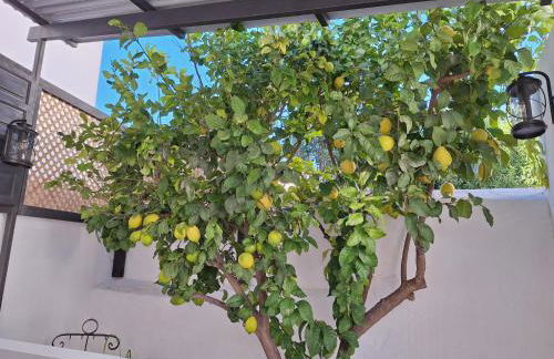 La Covacha - unique town house with exclusive pool and garden in the heart of the Village - Foto 23