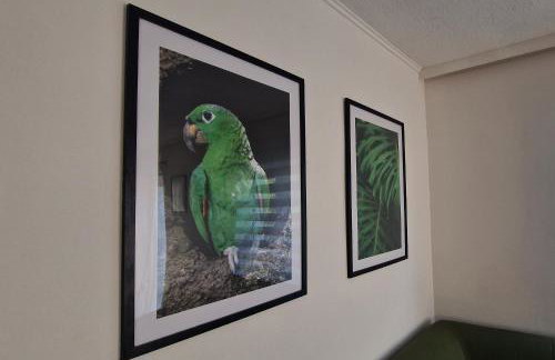 Family Holiday House Petric - Foto 39