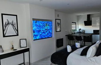 Loft Détente & Spa du Tram - Foto 2