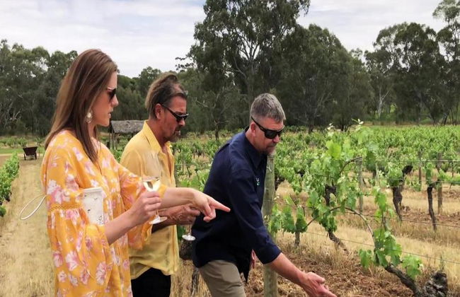 Goûtez au Barossa : Journée de gourmandise - Visite privée - Photo 1