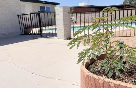Private Home - Heated Pool, Billiards, Darts, Foosball, Fireplace, 5 Smart TVs, BBQ, Cotton Bedding - The Saguaro Sanctuary, Pool Heat Optional - Foto 52