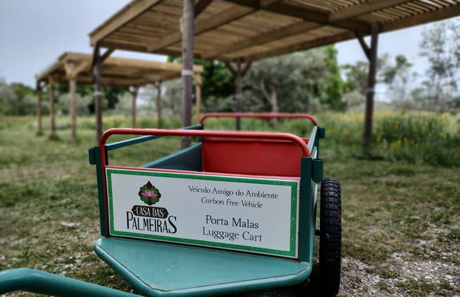 Casa das Palmeiras - Pedagogic Farm - Foto 132