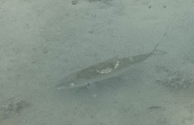 Shorrs Villas - Foto 18