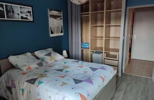 Grand T2 lumineux avec parking - Foto 8