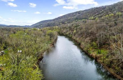 Serene Riverfront Cabin Haven near South Branch Potomac River in West Virginia - Foto 42