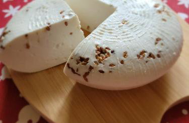 Agroturystyka Nasza Bajka - Foto 16