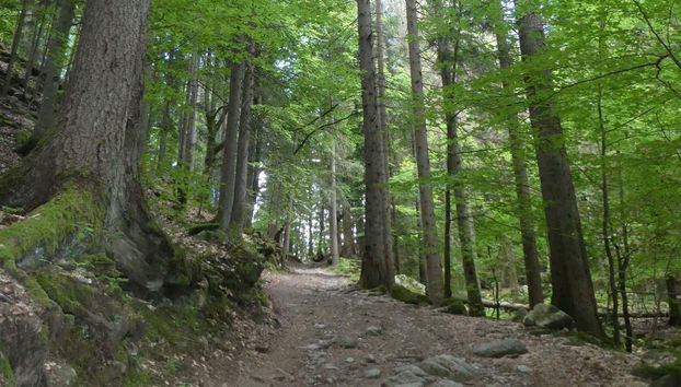 Ruta privada de senderismo por Charousse - Foto 2