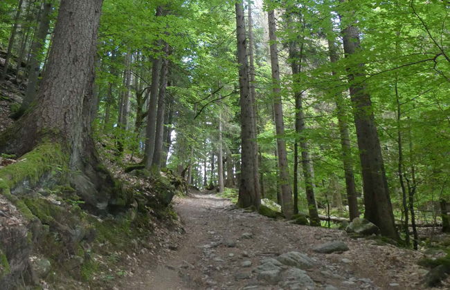 Randonnée privée dans Charousse - Photo 2