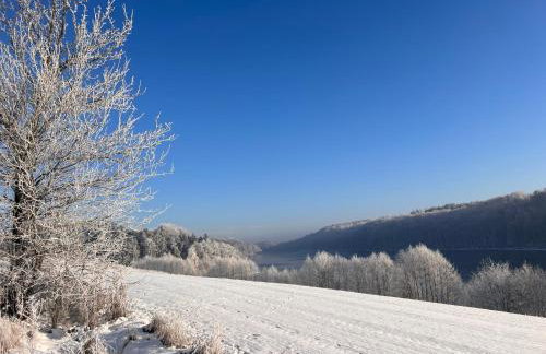 Domki na Kaszubach u Madzi - Foto 55