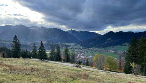 Bamberger Monika - Foto 3