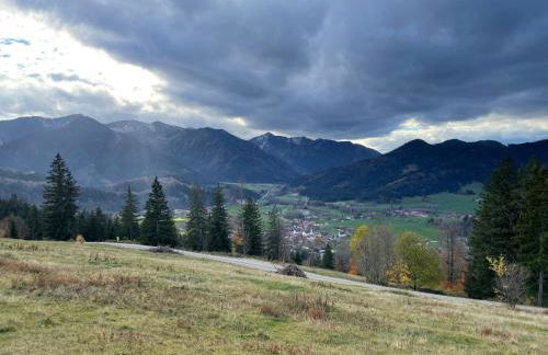 Bamberger Monika - Foto 3