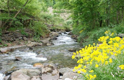 La Grange de l'Ours - Foto 53
