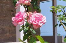 Il Dammuso di Tracino - Foto 74