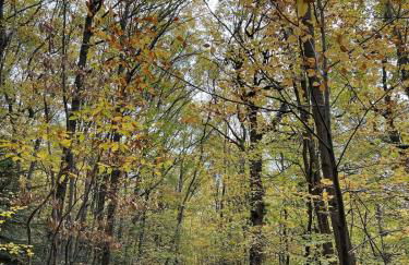 2P 50 m2 - Spacieux, Équipé, Moderne, A la montagne - Photo 12