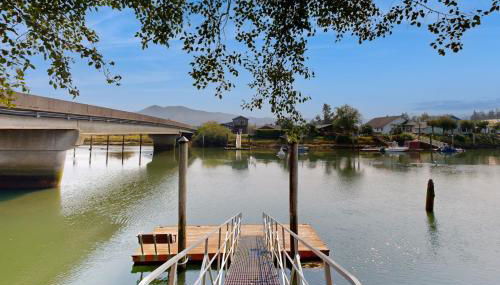 River Otter - Foto 4