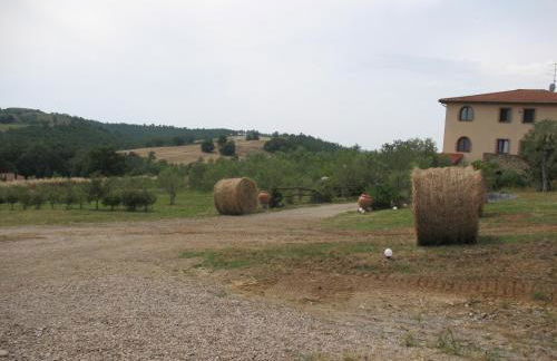 Agriturismo La Steccaia Alta - Foto 10