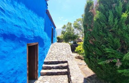 La Higuerita - Foto 8