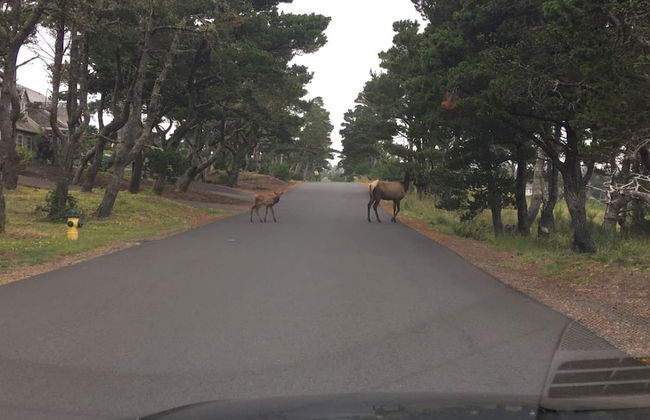 Gearhart Lakefront Oasis - Foto 59