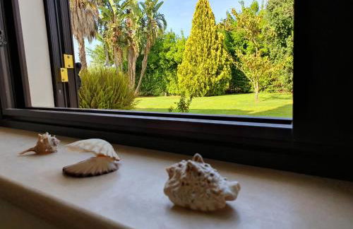 Villa Antonella - Foto 49