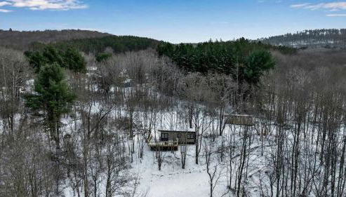 Modern Tiny Home Wraparound Deck - Foto 5