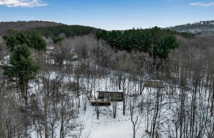 Modern Tiny Home Wraparound Deck - Foto 5