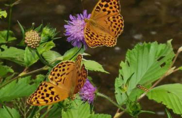 Ferienwohnung NEST - Foto 26