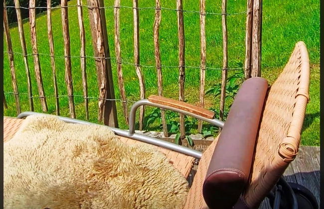 Charmantes, Einladendes Ferienhaus in Toller Natur - Foto 17