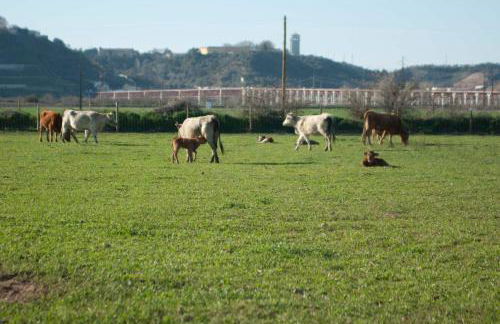 Quinta da Gafaria - Foto 44