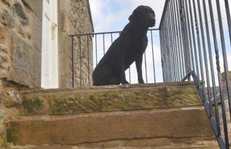 The Hay Loft Southlands Farm - Foto 45