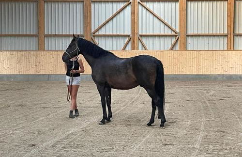 Kleines Landhaus Kopendorf - Foto 25