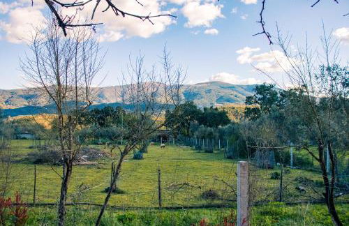 Quinta-lina de serpins - Foto 61