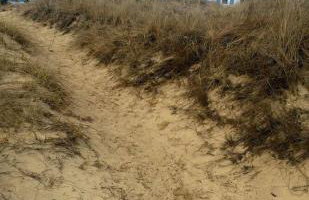 Across from Mayo beach walk to downtown - Foto 26